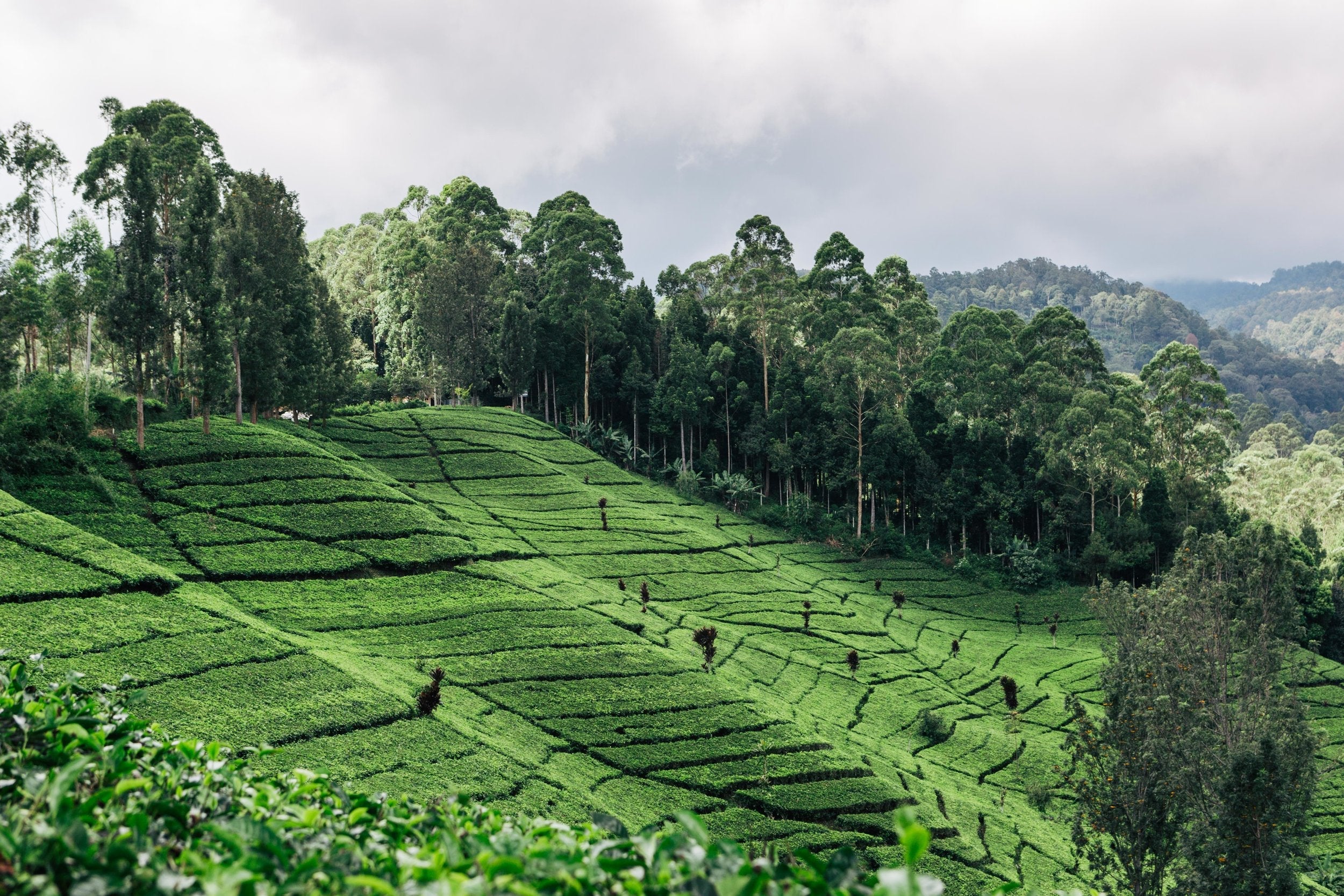 Southeast Asia